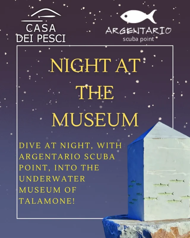 Ready to dive into an unforgettable experience? 🔥

On August 16th, as night falls, the sea at Talamone will light up: join Argentario Scuba Point and Casa dei Pesci for a one-of-a-kind night dive. 🐠
Snorkel or dive surrounded by art and nature, beneath a sky full of stars.✨

📍 Talamone – Underwater Museum! 
Don’t miss out - see you there! 💙

#savethedate #casadeipesci #diving #nightdive #argentario #talamone #snorkeling #sea #argentarioscubapoint #environment