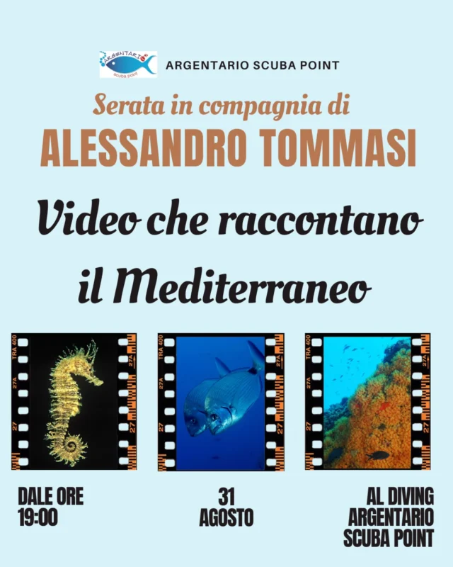 🎥 Il Mediterraneo attraverso l’obiettivo di Alessandro Tommasi 🎥

Vi aspettiamo domenica 31 agosto al diving Argentario Scuba Point per una serata dedicata alla proiezione dei filmati subacquei di Alessandro Tommasi, che raccontano la biodiversità e la bellezza dei fondali dell’Argentario.🪸

Un incontro per condividere immagini uniche e celebrare insieme il fascino del nostro mare!🐬

📍 Dove: Argentario Scuba Point
⏰ Quando: 31 agosto, ore 19:00

A presto!🫧🐠