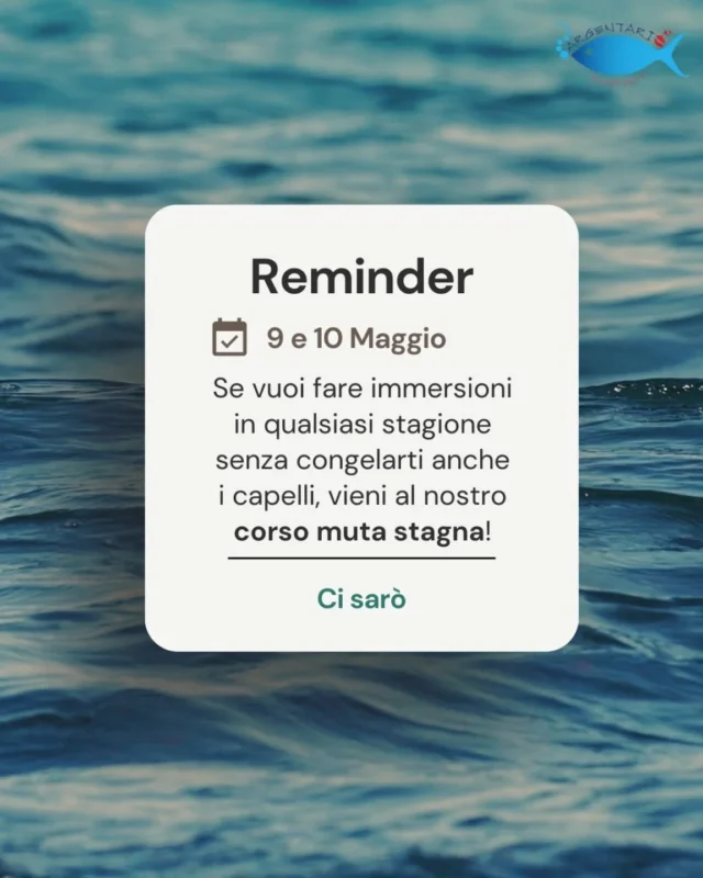 Inauguriamo la stagione con il nostro fantastico primo evento, il corso muta stagna! Venite ad imparare tutti i trucchi per godervi la magia del mare in ogni stagione. Vi aspettiamo, per info contattateci in DM✨🌊