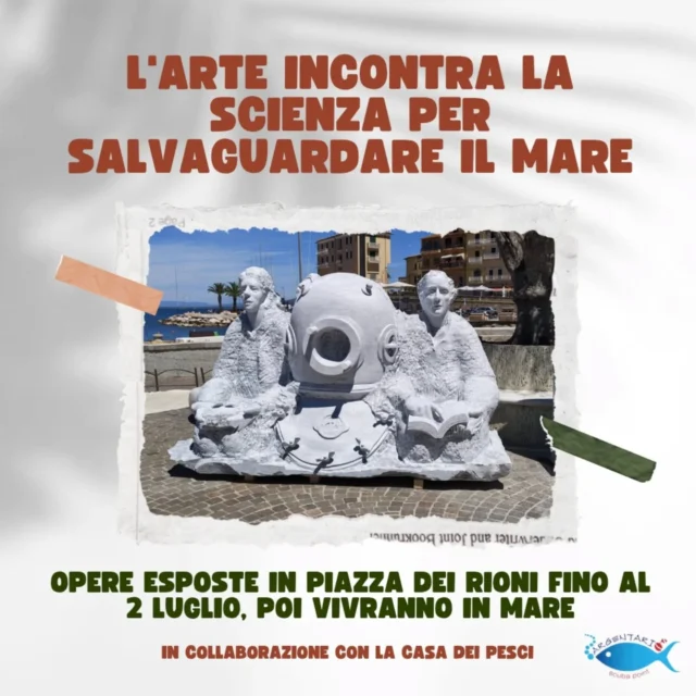 Nella nostra amata Porto Santo Stefano c'è una vera e propria mostra a cielo aperto, che presto diventerà a mare aperto! 🌊
Nato nel 2012 per contrastare la pesca illegale e favorire il ripopolamento ittico, il progetto Casa dei Pesci approda all’Argentario con 5 nuove statue e reef artificiali. Le sculture di marmo di Carrara resteranno esposte in Piazza dei Rioni fino al 1 luglio, prima della posa in mare prevista per il giorno seguente. Le sculture saranno posizionate lungo la costa occidentale del Monte Argentario e creeranno un itinerario subacqueo mozzafiato per sub, apneisti e snorkelisti. Correte a vederle sulla terraferma prima del loro tuffo nel mare!🐟