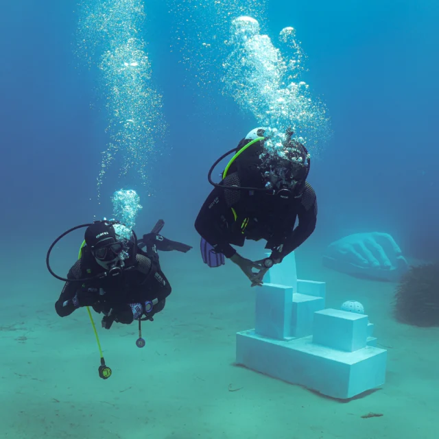 I primi subacquei al Museo #CasaDeiPesciArgentario 
Un’emozione unica, sospesi tra mare, arte e meraviglia. 🌊🐟

Ogni immersione racconta una storia, ogni sguardo scopre un tesoro nascosto.

The first divers at the #CasaDeiPesciArgentario Museum 

A truly unforgettable emotion, suspended between the sea, art, and wonder. 🌊🐟

Every dive tells a story, every glance reveals a hidden treasure.

#argentarioscubapoint #yourspecialdivingexperience #divingtuscany #tuscany #argentario