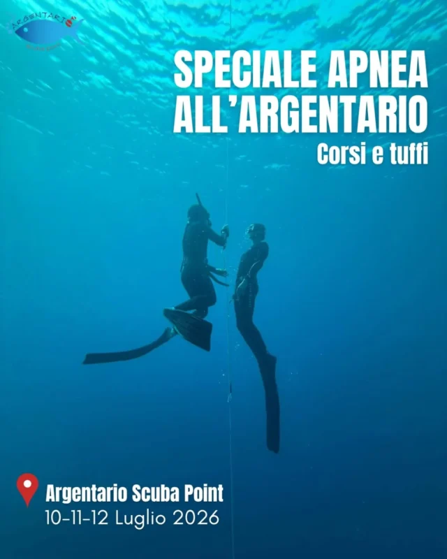 Venite a scoprire il magico mondo dell'apnea con il nostro special guest, Mauro Barbisan! Il 10, 11 e 12 luglio sarà con noi per portarvi a scoprire un nuovo modo di guardare il mondo sommerso, attraverso le lenti e le pinne da apnea. Per info e prenotazioni scriveteci in DM, vi aspettiamo!
#apnea #argentario #sea #mare #sealovers