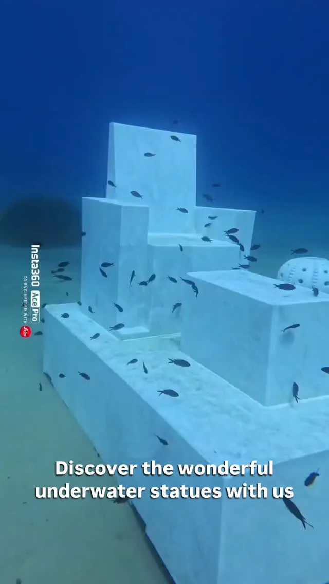Join us under the sea to visit this amazing project of @casadeipesciets to combat illegal fishing and promote new and safe environments for the sea inhabitants!🌊

Venite con noi a visitare questa meravigliosa iniziativa de @casadeipesciets creata per contrastare la pesca illegale e favorire il ripopolamento ittico!✨

#argentarioscubapoint #tuscany #scubadiving #sea #diving